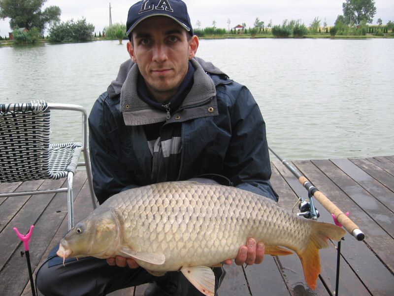 halak 2361.jpg